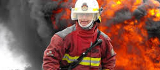 imagen 6